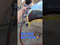 applying UV primer on bumper repair #carrepair #car #automobile #ofw #auto