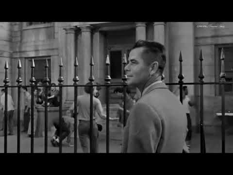 blackboard jungle 1955 , rock around the clock.