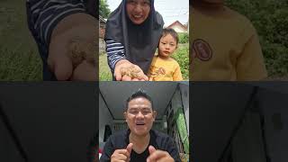 Download lagu AIJAZ FEEDS A SQUIRREL #funny#shorts# #adekkakakinul mp3 Download lagu AIJAZ FEEDS A SQUIRREL #funny#shorts# #adekkakakinul mp3