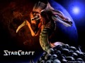 StarCraft Soundtrack [16] - Radio FreeZerg 