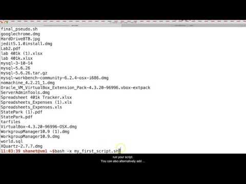 Beginning Shell Scripting
