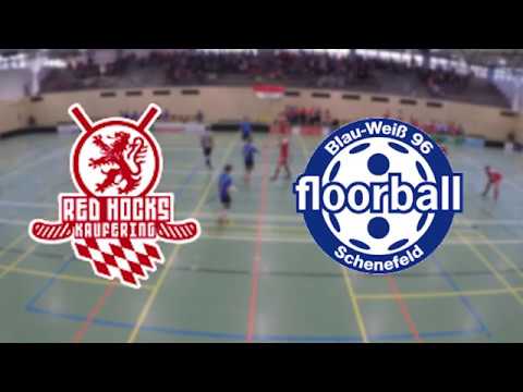 Vfl Red Hocks Kaufering - Blau-Weiß 96 Schenefeld (24.03.2018) Highlights