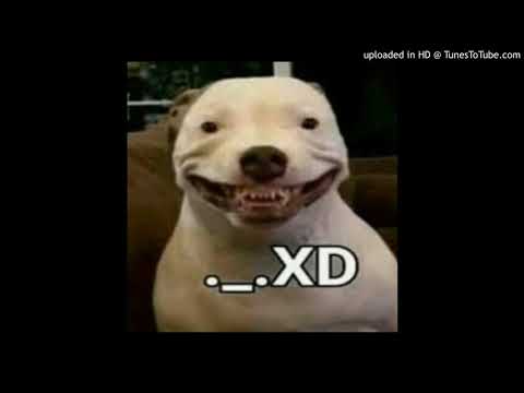 criis, lil frostee, kidhakku - hehe XD