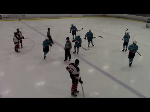 Juniori-Ässät - B1-joukkue - 1.12.2018 BSM Pelicans - Ässät 1.erä