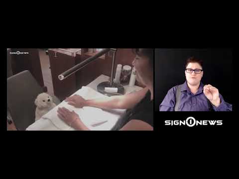 ICYMI: Lost teddy bear gets luxury hotel stay