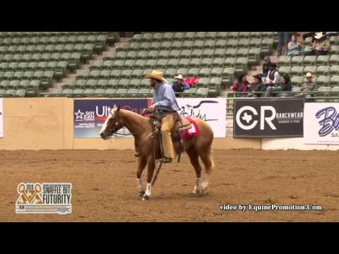 Genuine Ragtime CD ridden by Lanham Brown  - 2016 NRCHA SBF (Cow - NP FINALS)