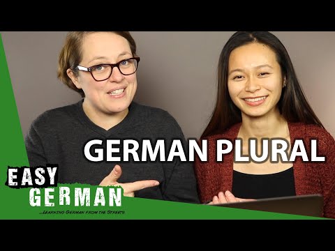How to learn the German Plural endings | Super Easy German (127)