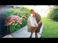 Best Delivery Driver Videos Of The Decade