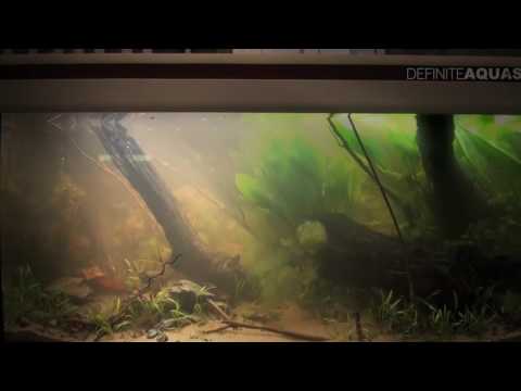 JBL Biotope Aquarium Contest 2013   compilation 720p 30fps H264 192kbit AAC