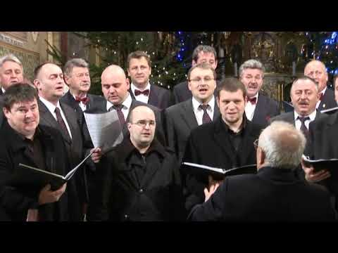 SVETA NOČ  -  Krpačevi dnevi 2013, združeni MoPZ, zborovodja Janez Kolerič, solo: Matej Jezernik.