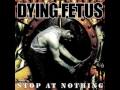 Dying Fetus - Schematics 