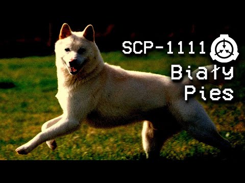 SCP-1111 "Biały Pies" : Klasa Podmiotu - Euclid : Duchowy SCP