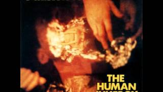 The Scientists - Braindead