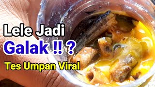 Download lagu Test! Bait Makes Catfish Aggressive - Eel Media mp3 Download lagu Test! Bait Makes Catfish Aggressive - Eel Media mp3