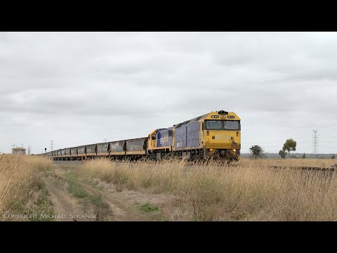 Broad Gauge Pacific National Grain Train (5/3/2021) - PoathTV Australian Railways