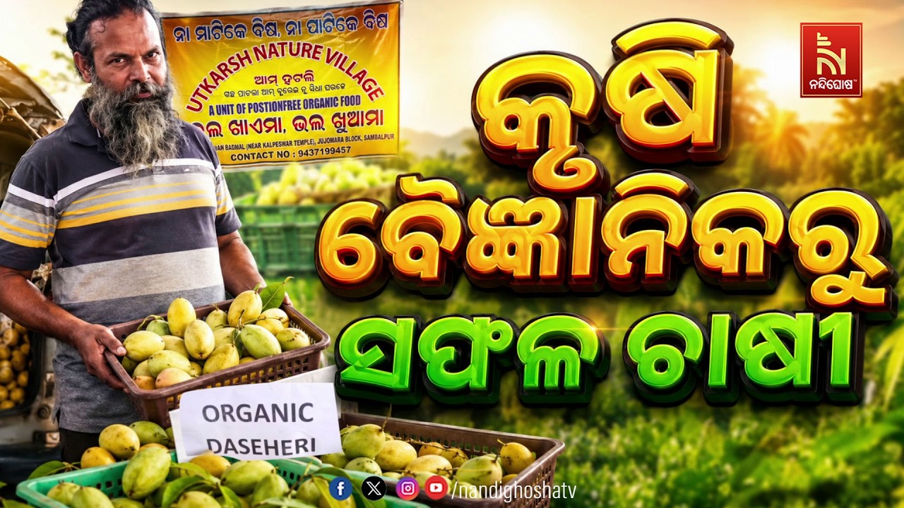 🔴Live | କୃଷି ବୈଜ୍ଞାନିକରୁ ସଫଳ ଚାଷୀ