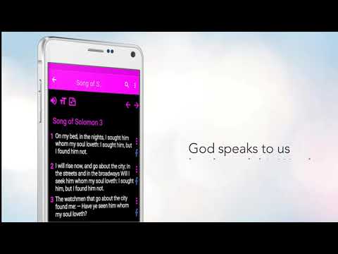 Darbys Translation Bible
