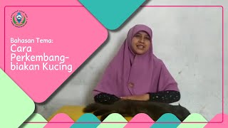 Download lagu Cara Berkembang Biak Kucing | Tema Binatang Subtema Binatang Peliharaan 'Kucing' mp3