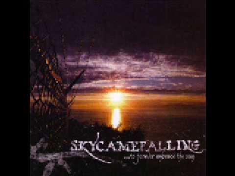 Skycamefalling -  A penny for your confessions