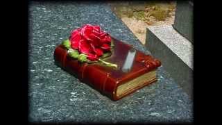 Television personalities - All My Dreams Are Dead (HD)