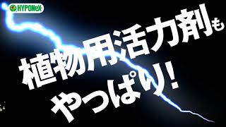 やっぱりリキダス顆粒 _バンパー動画 Ver 2