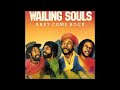 Wailing Souls Baby Come Rock Full Album