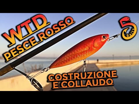 Wtd at Pesce Rosso | Construction, Testing, and Coating with Humiliation!
