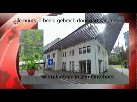 promo preensoetroope "hart van meersje"