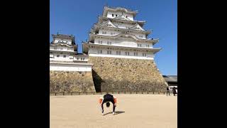 えいほーの部屋 のライブ配信