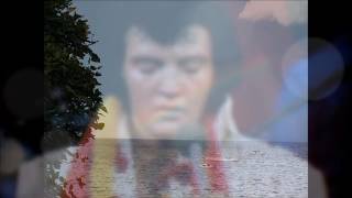 Elvis Presley The Twelfth Of Never