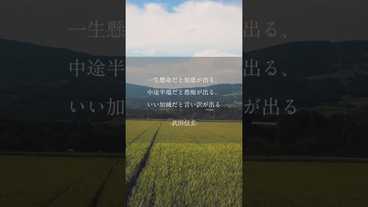 読む瞑想　#名言 #格言 #心に響いた言葉 #瞑想