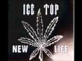 ICE TOP - Suljee 
