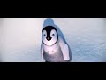Happy Feet 2006 In My Room Scene