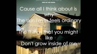 Silversun Pickups - Skin Graph (Lyrics HQ)