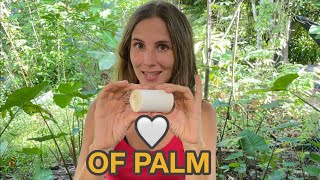 HARVESTING Heart of Palm in our Tropical Food Forest