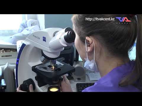 Выпуск программы "День" от 12 марта 2020г.