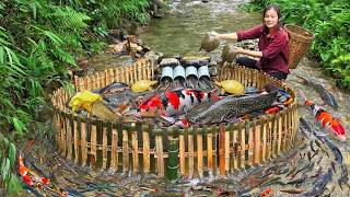 [TIMELAPSE] -- 2335 Days Combining PVC Pipes And Bamboo To Catch Rare Turtles