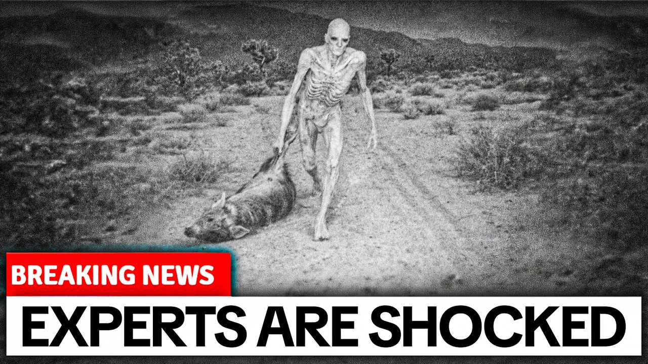 Thumbnail Download HD Thumbnail (1280x720)