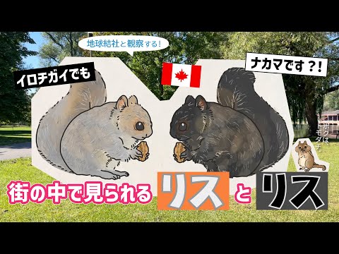 氷と雪の中の毛皮で覆われた生き物: これらのイエティの画像は真実を示していますか?
