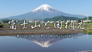 富士吉田の富士山と田植え / Mt Fuji and Rice Planting