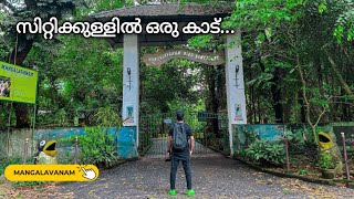 Download lagu സിറ്റിക്കുള്ളിൽ ഒരു കാട് | Mangalavanam Bird Sanctuary | Ernakulam | Travelogue mp3