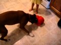 Tackle Me Elmo MPG