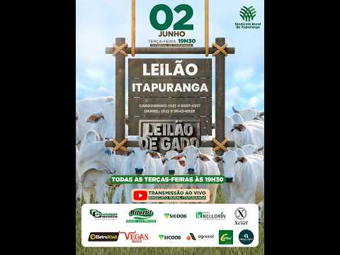 Leilão do Sindicato Rural de Itapuranga -02/06/2026 | Leilão ao Vivo - Leilão de Gado