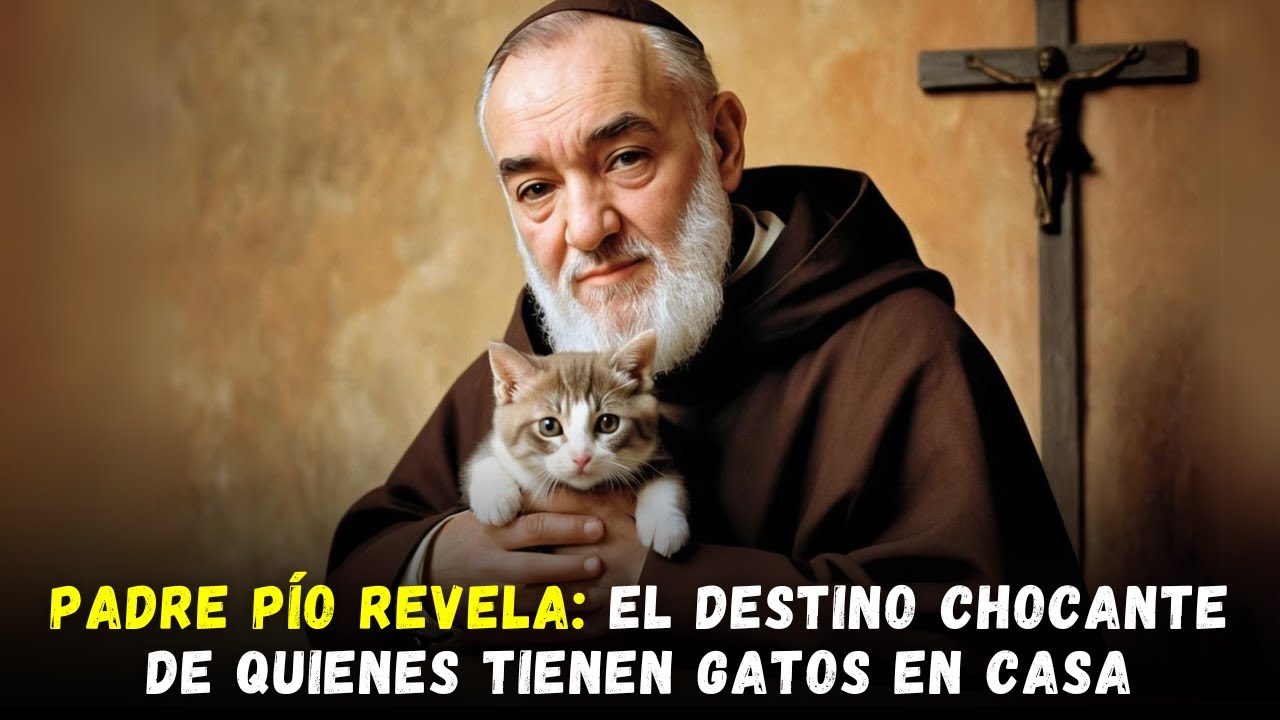 PADRE PÍO REVELA: EL DESTINO DE QUIENES TIENEN GATOS EN CASA