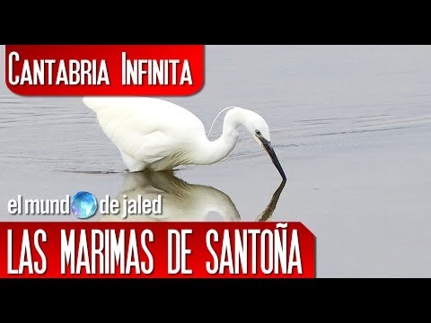 CANTABRIA INFINITA | Ruta de Colindres a Laredo - Parque Natural de las Marismas de Santoña