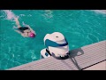 Swimfinity™ Endless Pool Swimming Machine