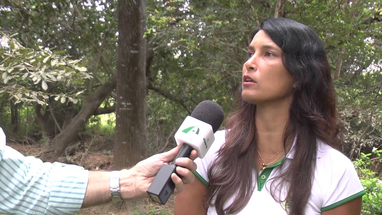 AS - Pesquisa sobre os frutos da Sapucaia.