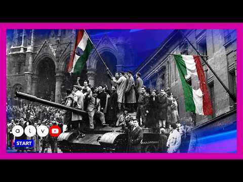 Mit jelent harcolni a szabadságért?