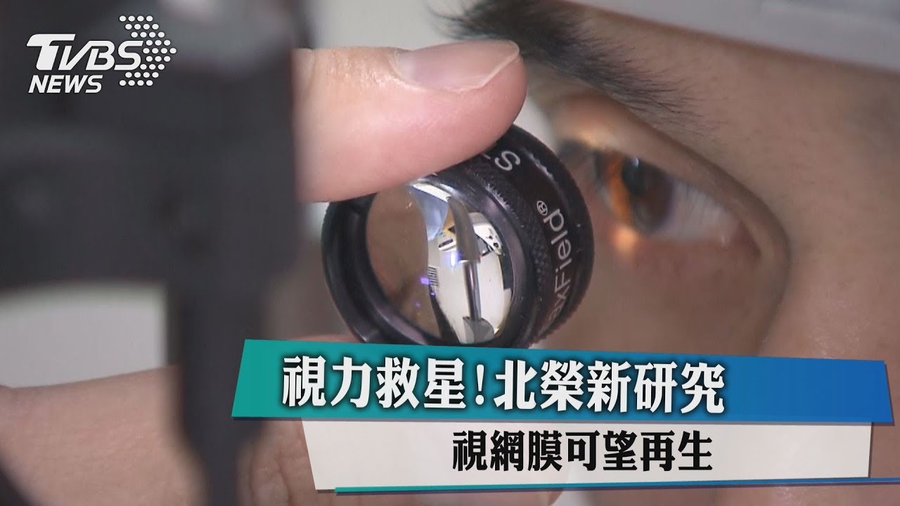 視力救星!北榮新研究 視網膜可望再生