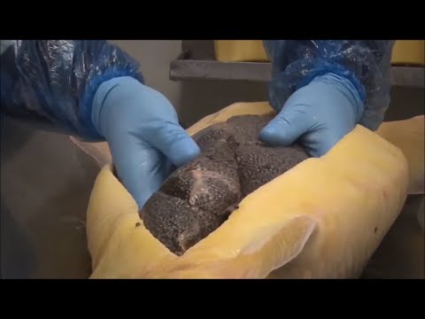 How Sturgeon Caviar Is Farmed and Processed - How it made Caviar